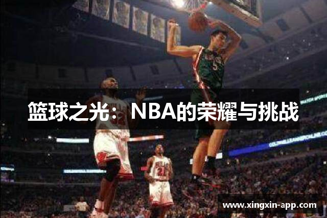 篮球之光：NBA的荣耀与挑战